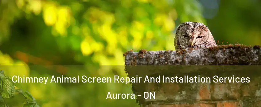  Chimney Animal Screen Repair And Installation Services Aurora - ON