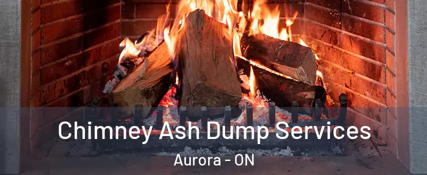  Chimney Ash Dump Services Aurora - ON