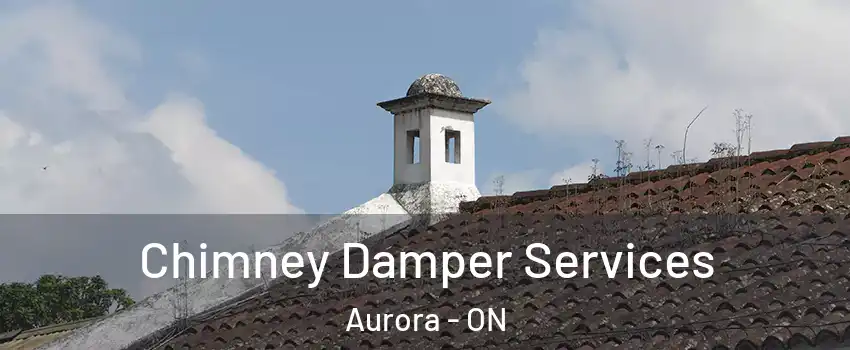  Chimney Damper Services Aurora - ON