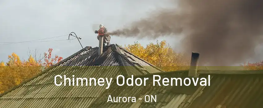  Chimney Odor Removal Aurora - ON