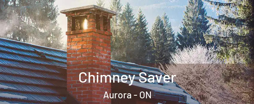  Chimney Saver Aurora - ON