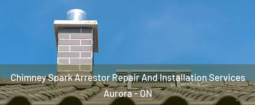  Chimney Spark Arrestor Repair And Installation Services Aurora - ON
