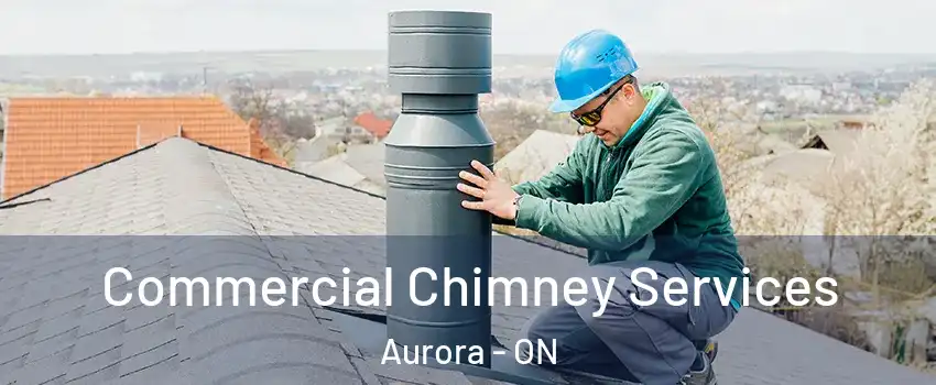  Commercial Chimney Services Aurora - ON