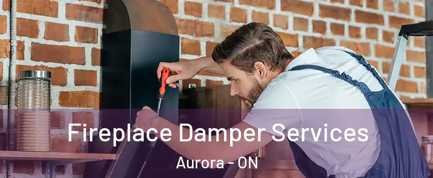  Fireplace Damper Services Aurora - ON