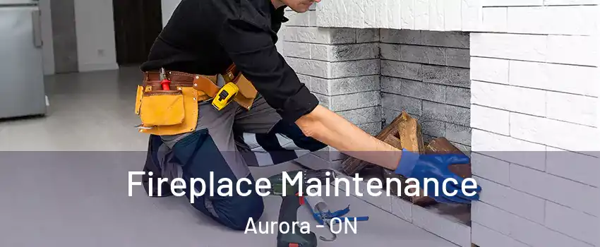  Fireplace Maintenance Aurora - ON