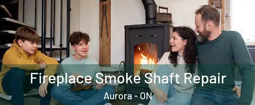  Fireplace Smoke Shaft Repair Aurora - ON