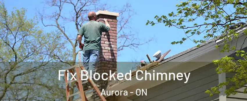 Fix Blocked Chimney Aurora - ON